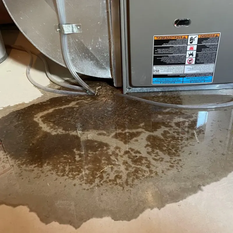 Pipe Burst and Leak Restoration in Crane County, TX