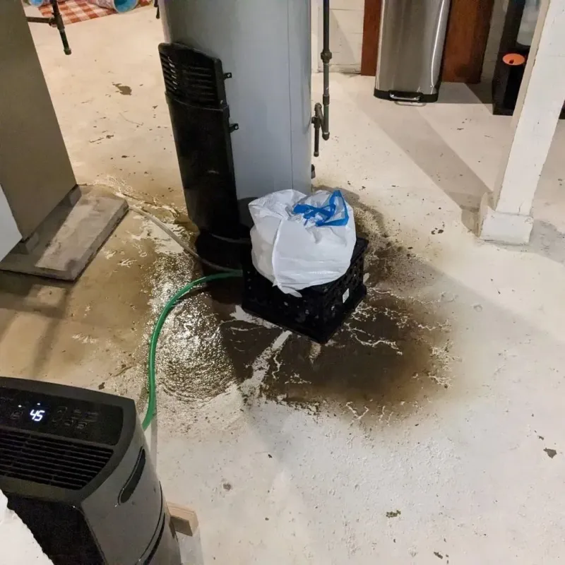 Sewage Backup Cleanup Service in Crane County, TX